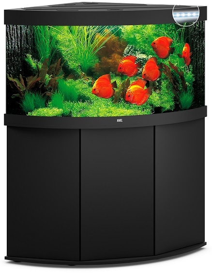 Juwel Trigon 350 LED inkl. SBXbänk Svart