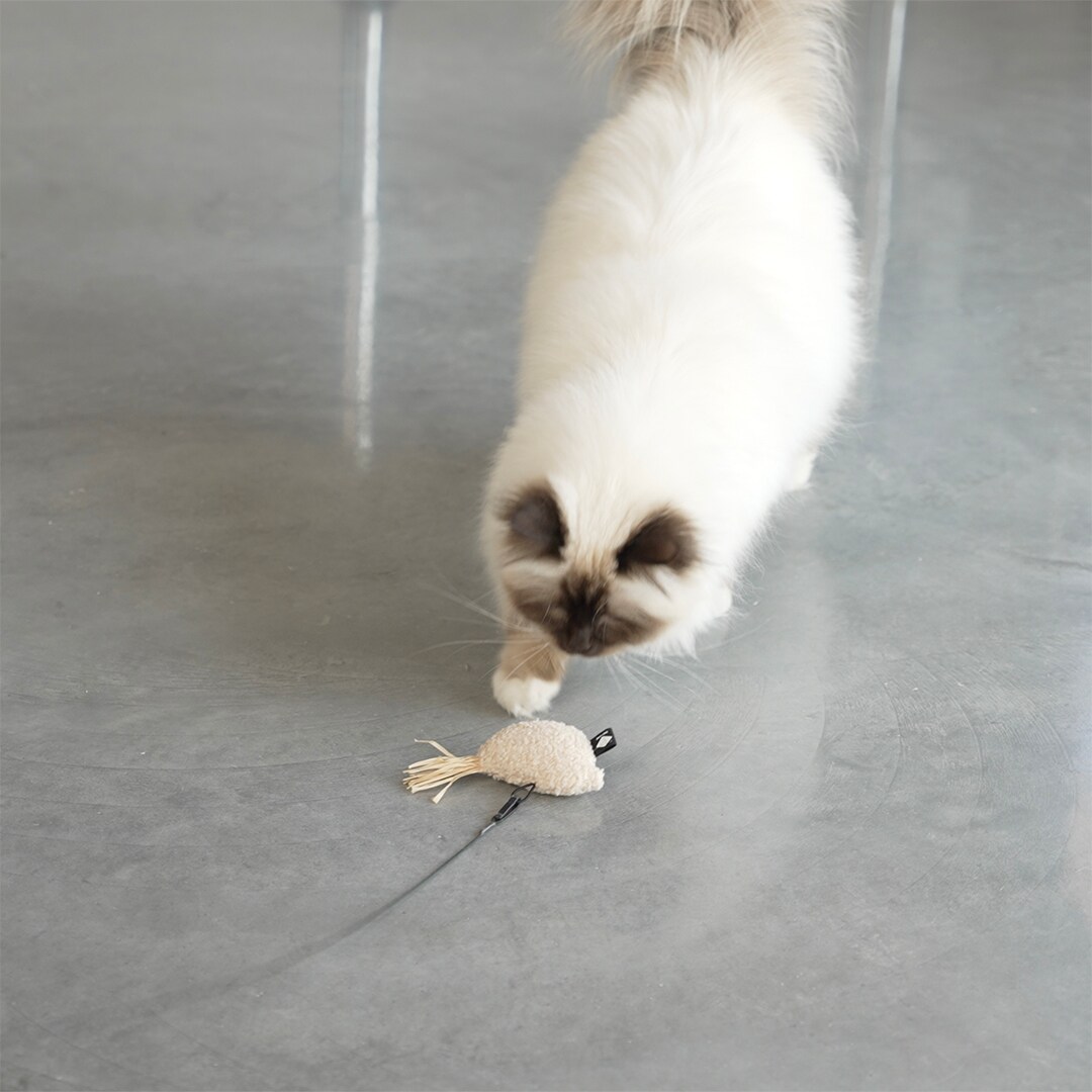 ILHC Joy bird teddy/hyacint - 2