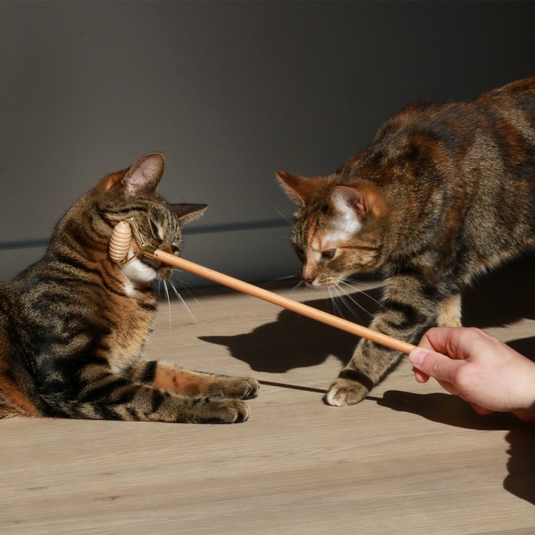 ILHC Socializer 35cm - 2