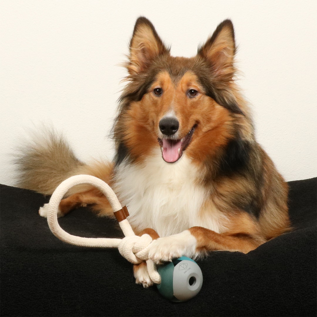 Nora Boll Med Rep Blå 36cm - 2