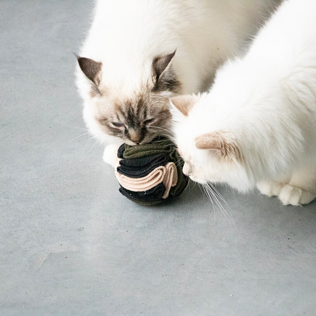 ILHC Snackball Fleece 9cm