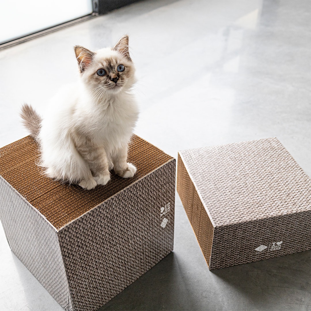 ILHC Cardboard block flera storlekar