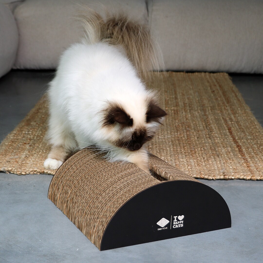 ILHC Cardboard playground