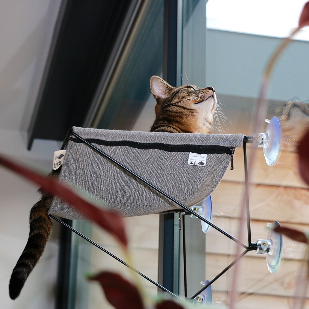 ILHC Hammock med sugkoppar - 2