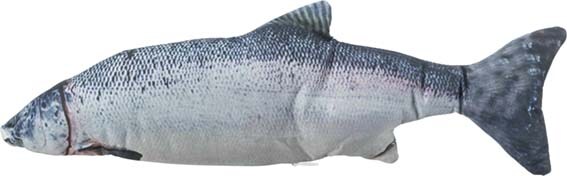 Sprattlande fisk m catnip 30cm inkl. USB-laddare - 2