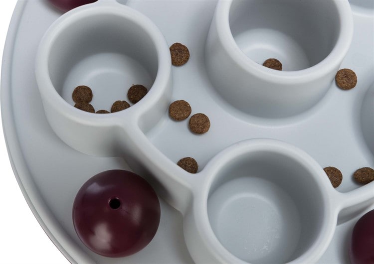 Cat Activity Pentagon 28cm - 2