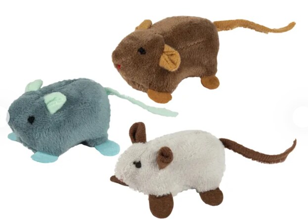 Liggande mus med catnip