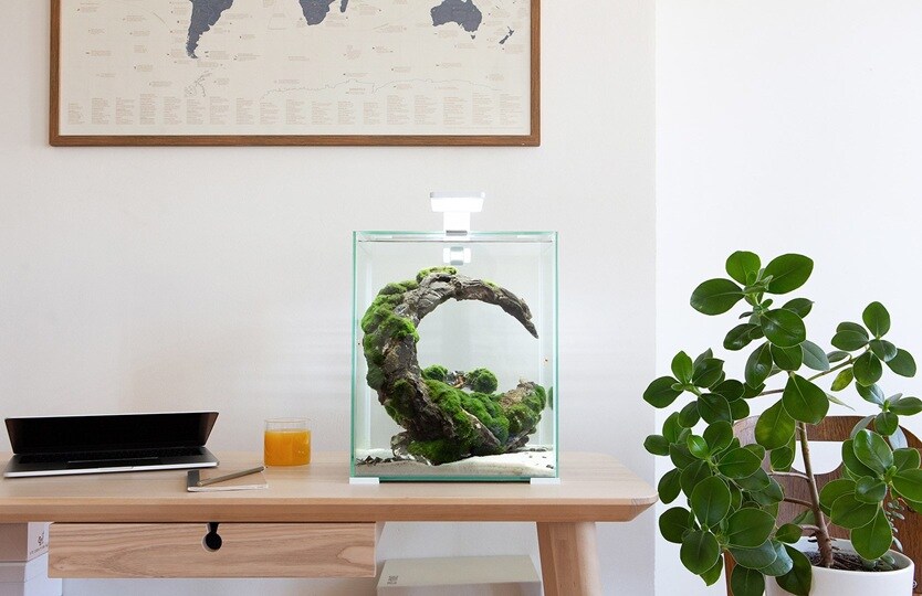 AquaEL Shrimp Set Day&Night 19L Vit