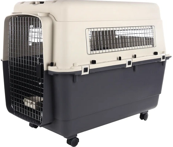 Flygbur Nomad XXL 100x70x75cm