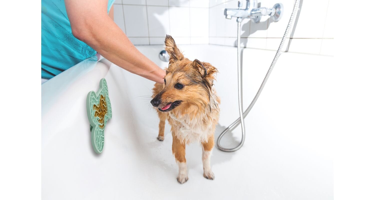 Lick Pad Bone Small 15cm - 2