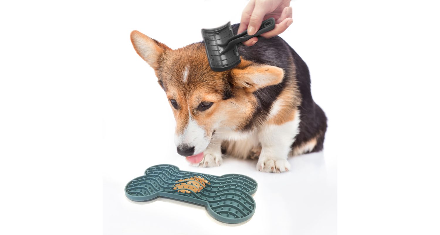 Lick Pad Bone Medium 22cm