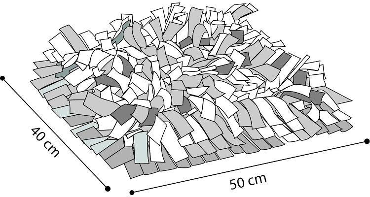 Sniffing Carpet Amigo 40x50cm - 2