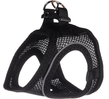 Sele Bento Svart, flera storlekar - 2