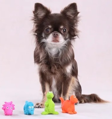 Latex Donnie Dino ca 6cm olika sorter - 2