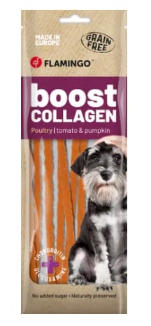Boost Collagen Spagetti 70g