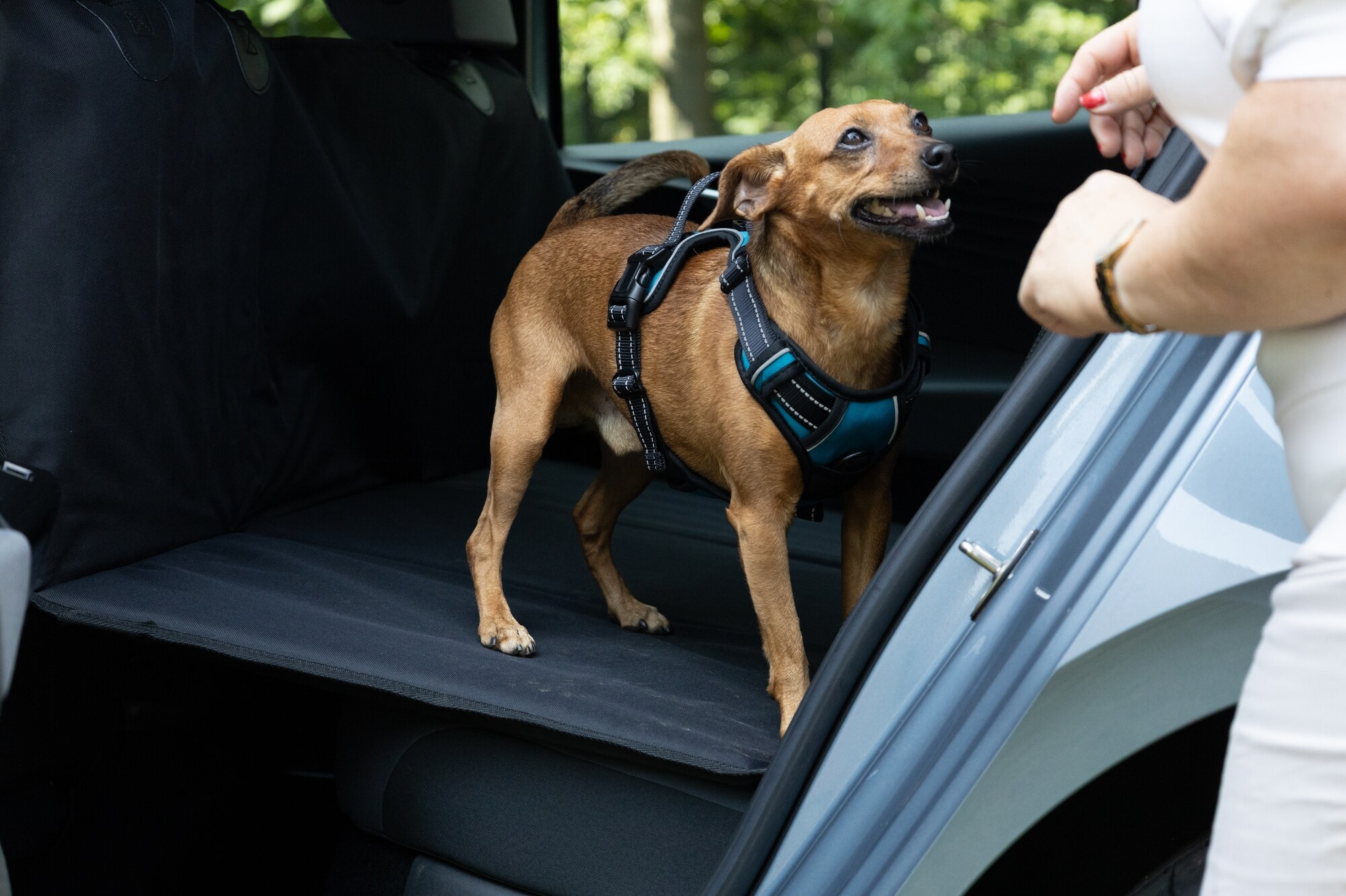 Baksätesskydd 166x133cm