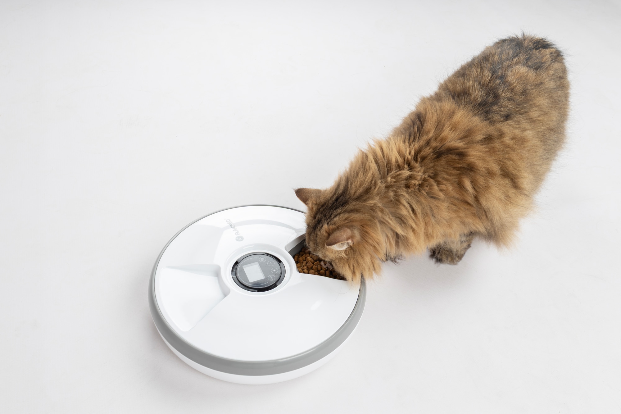 Foderautomat med 6 måltider á 90g