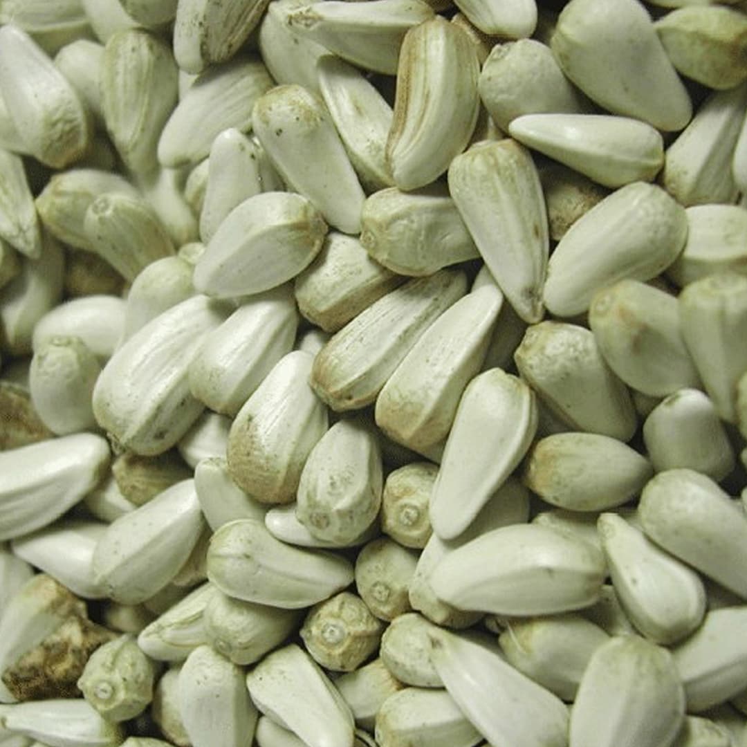 Safflorfrön 1kg