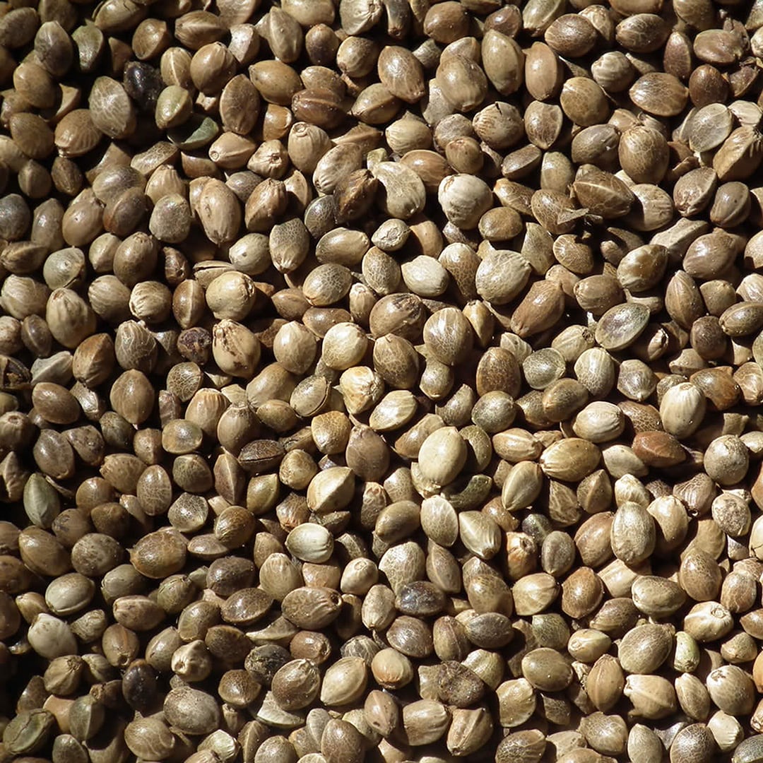 Hampfrö 1kg