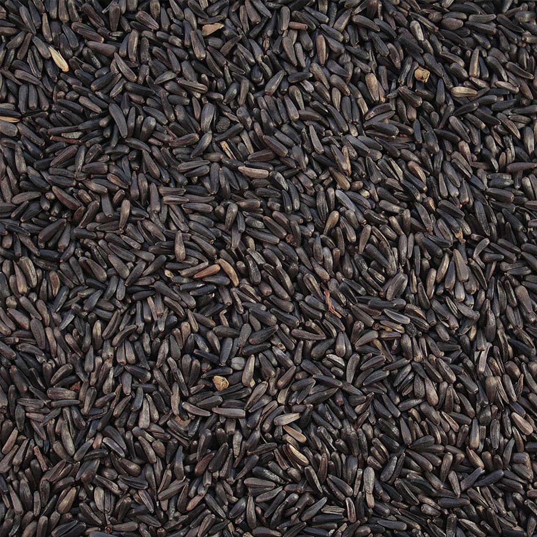 Nigerfrön 2kg