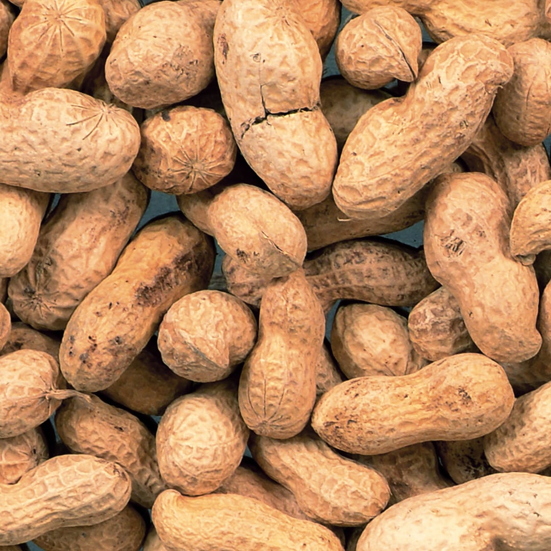 Jordnötter Oskalade 200g