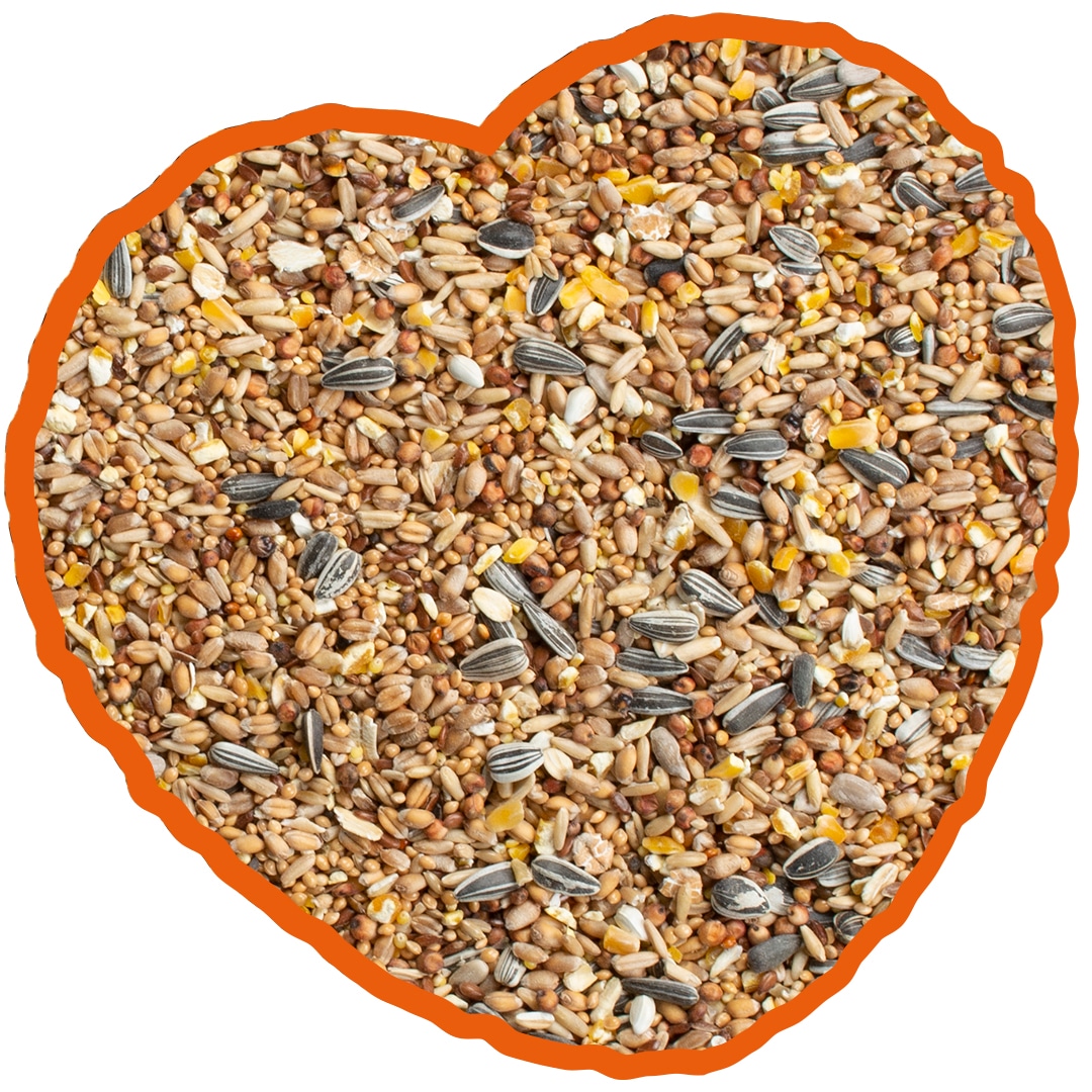 Viltfågelblandning Wintermix 2kg