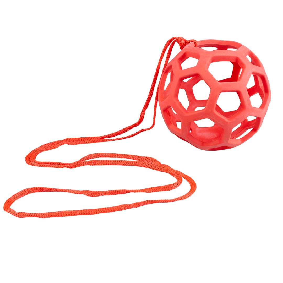 Chicken/Bird Feederball 14cm