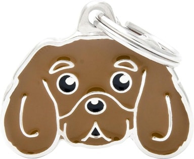 ID-bricka Cavalier Brun