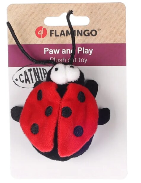 Nyckelpiga med catnip