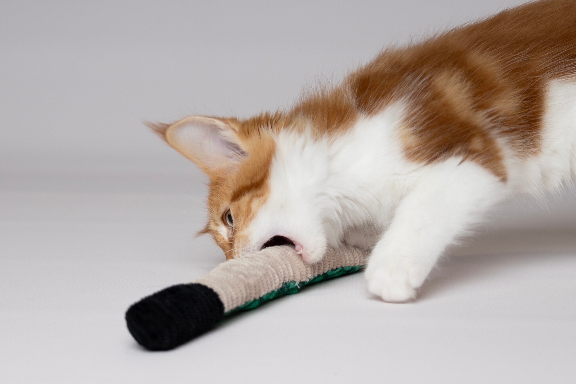 Snake prassel och skaller 37cm - 2