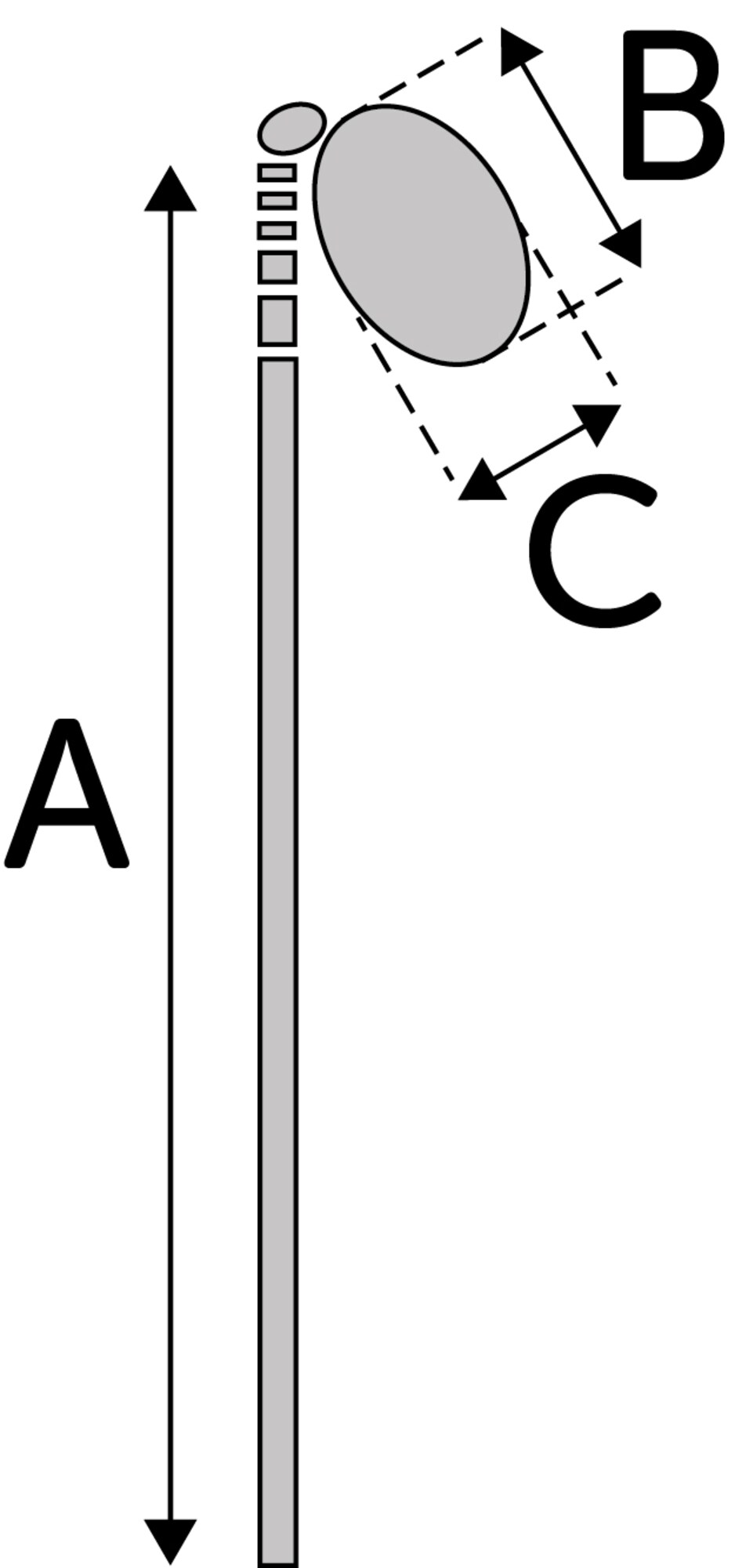 Spö Nouk 61-142cm med päls