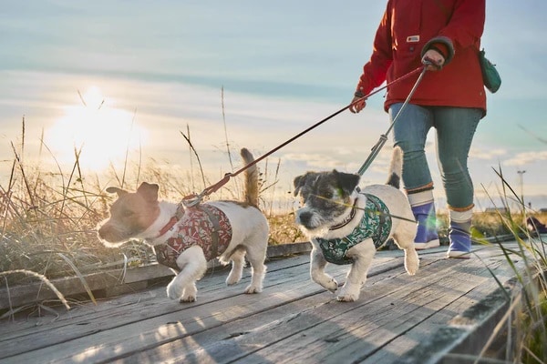 Hurtta Safety Wrap Ruby Eco Reflex - 2