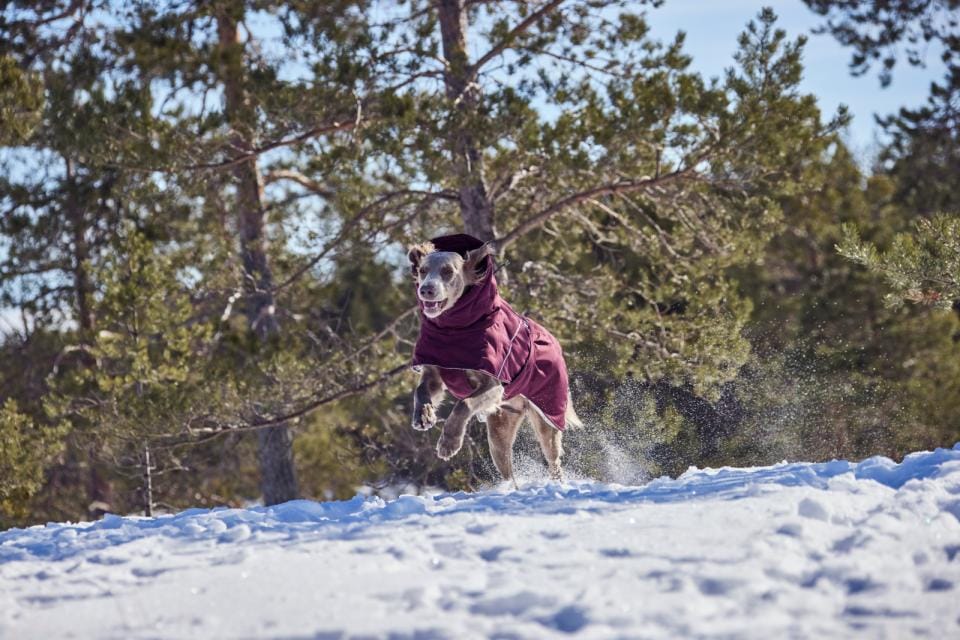 Hurtta Extreme Warmer III ECO Svart - flera storlekar - 2