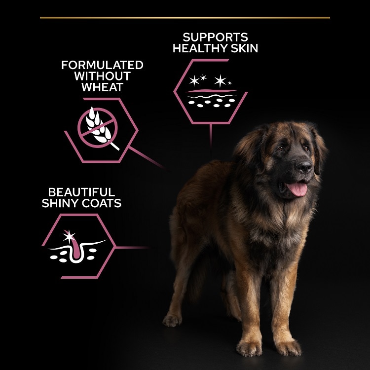 Pro Plan Medium Adult Sensitive skin lax 14kg