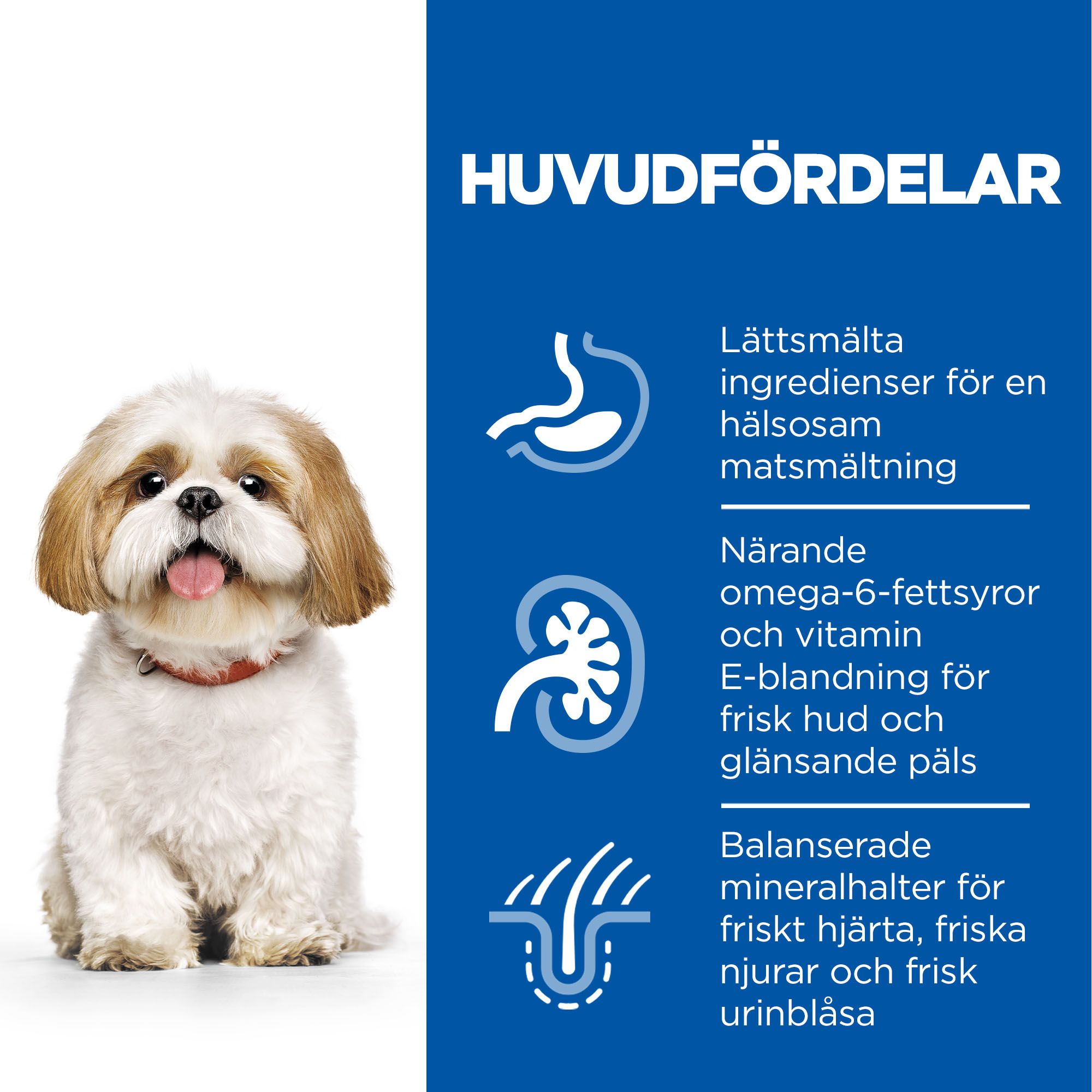 Hill's hund Mature small/mini chicken 1,5kg