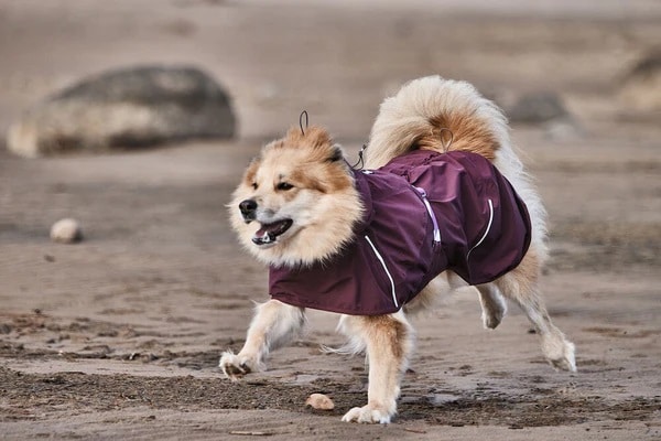 Hurtta Mudventure Coat Eco Aubergine - 2