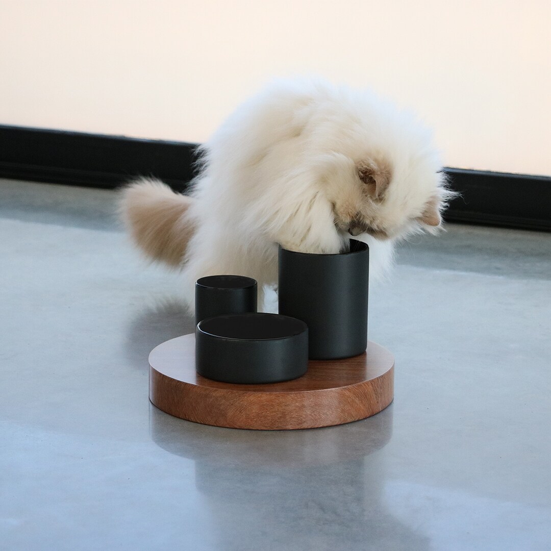 ILHC Foderskålar 3 nivåer