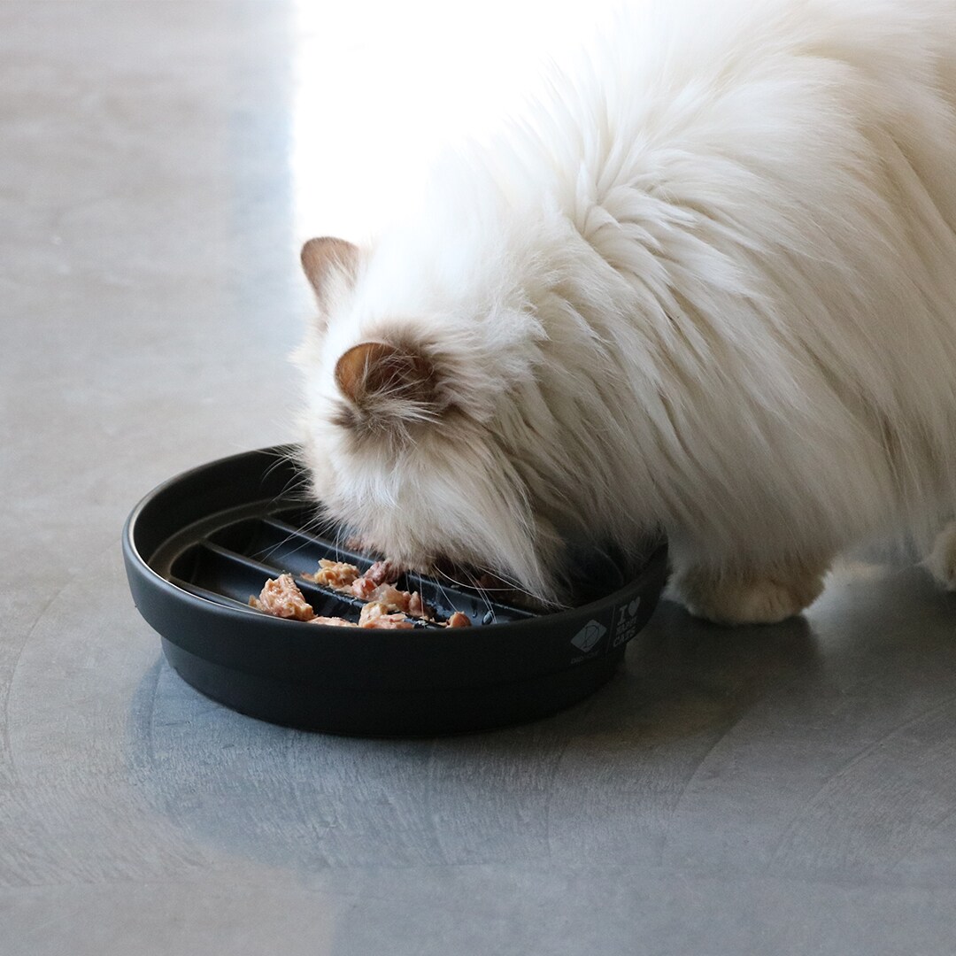 ILHC Matskål Sue svart - 2