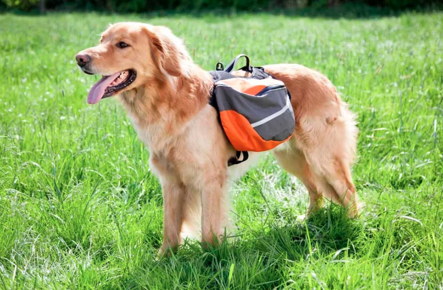 Klövjeväska orange/grå/svart - flera storlekar