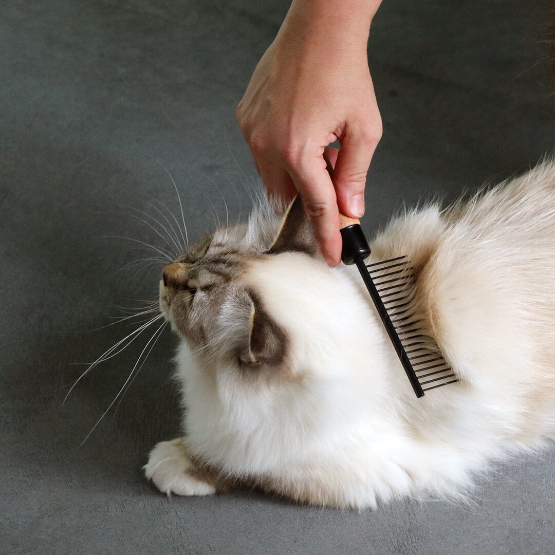 ILHC Kam Adam 23cm - 2