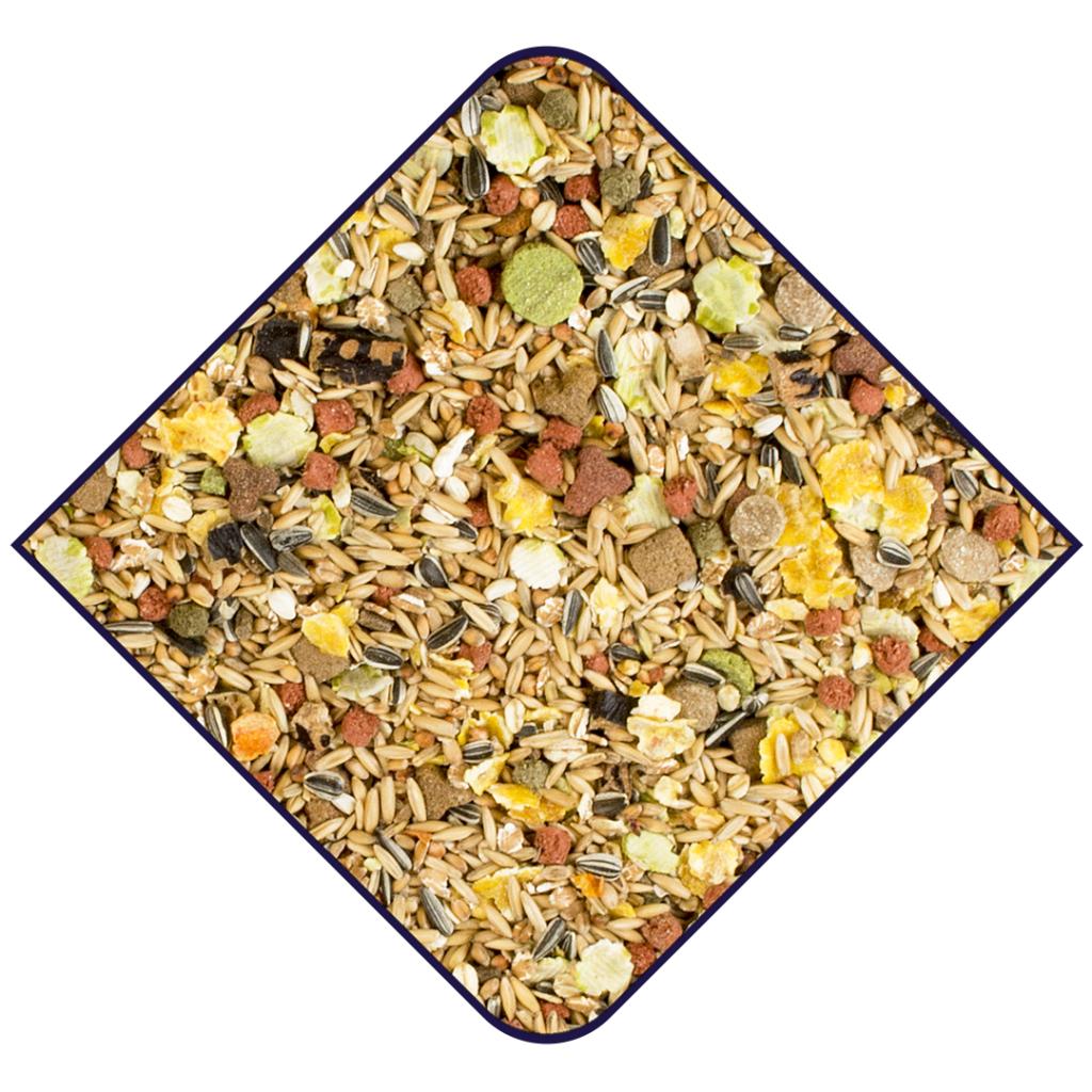 Witte Molen Expert Råtta 15kg (700) - 2