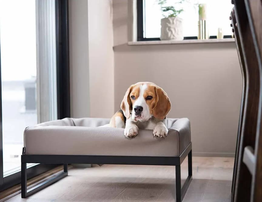 Bia Air Benställning Svart 80x100x17cm (För Bia nr. 6)