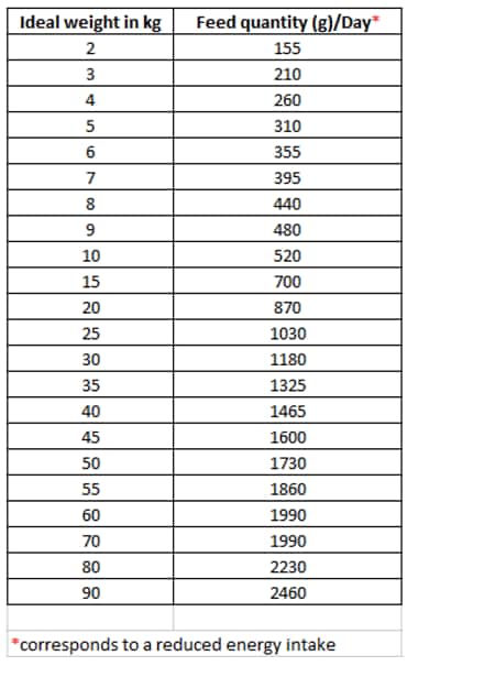 Monster Våt Light 400g - 2