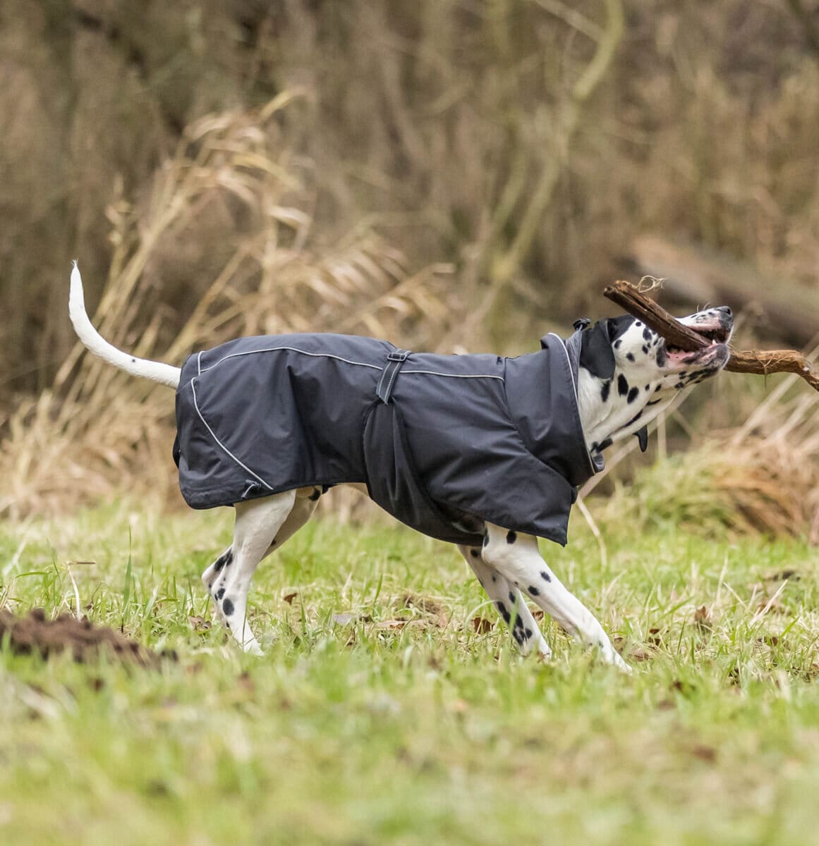 Vintertäcke Calvi svart - 2