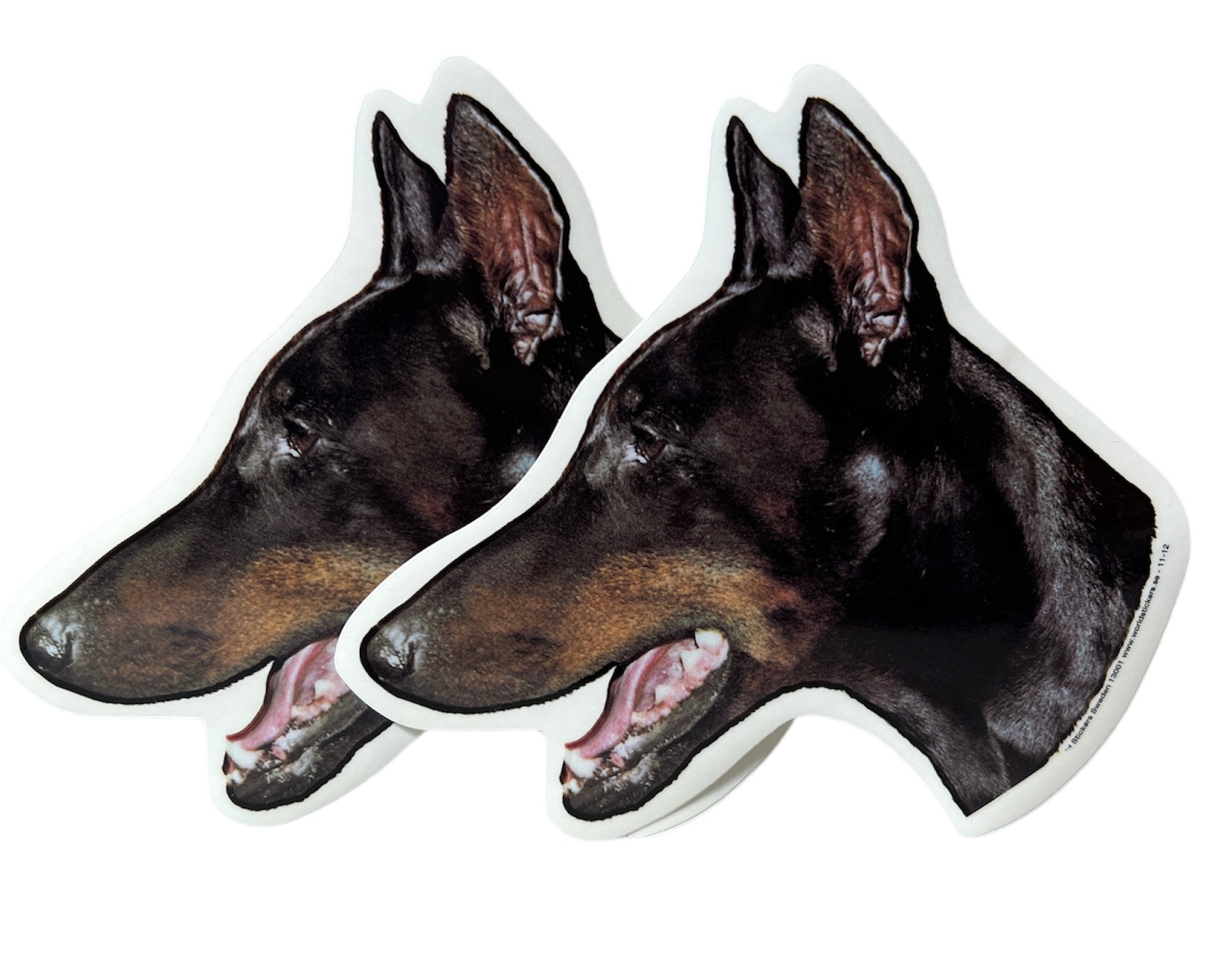 Dekal Hund medium 2-pack - Doberman huvud 1