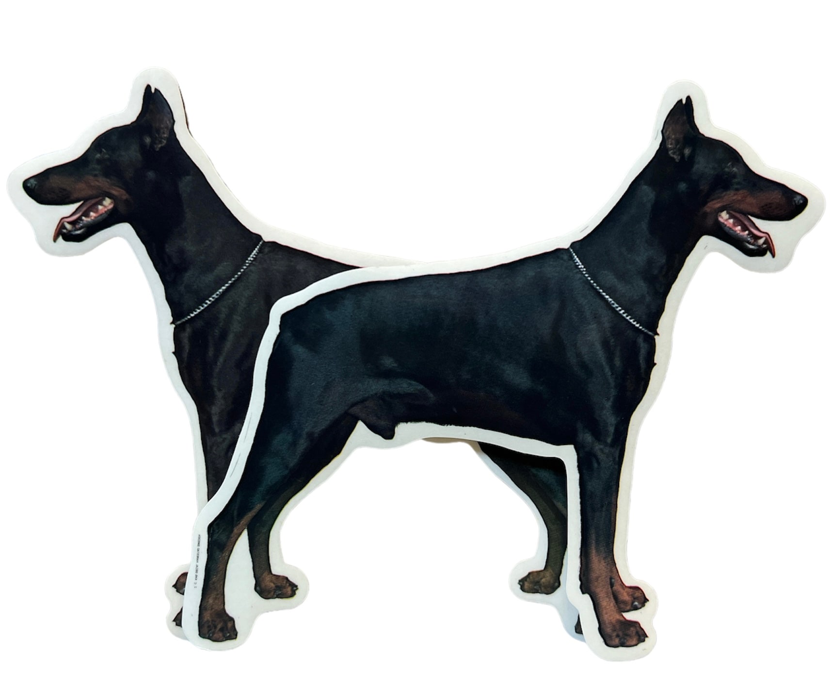 Dekal Hund medium 2-pack - Doberman helkropp