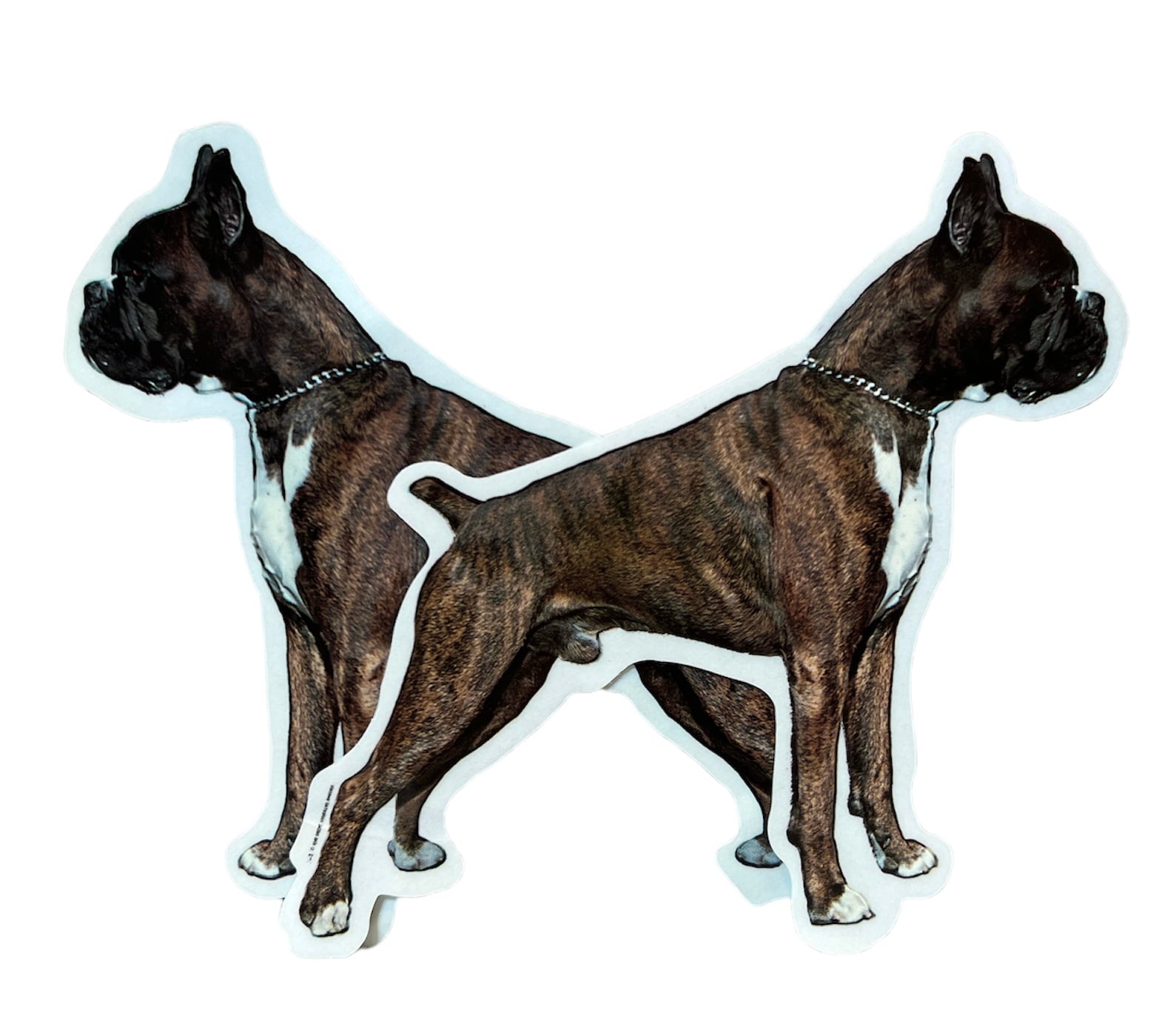 Dekal Hund medium 2-pack - Boxer helkropp