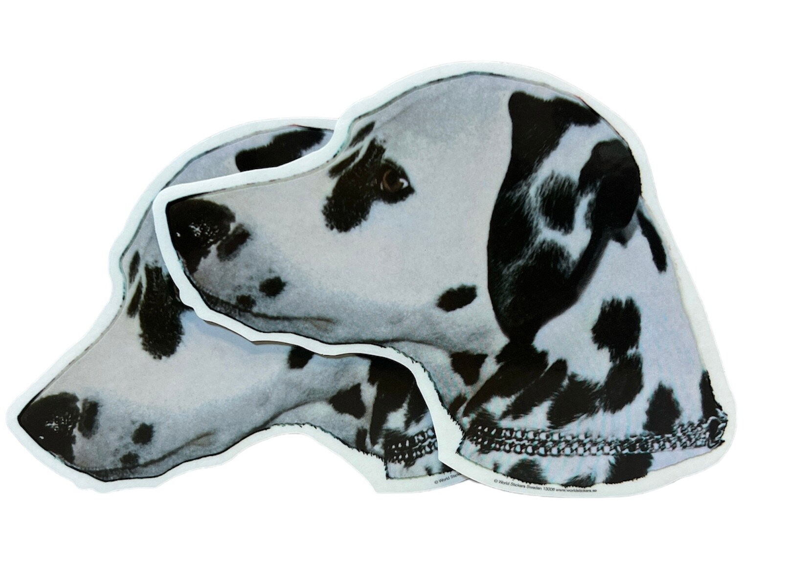 Dekal Hund medium 2-pack - Dalmatiner huvud