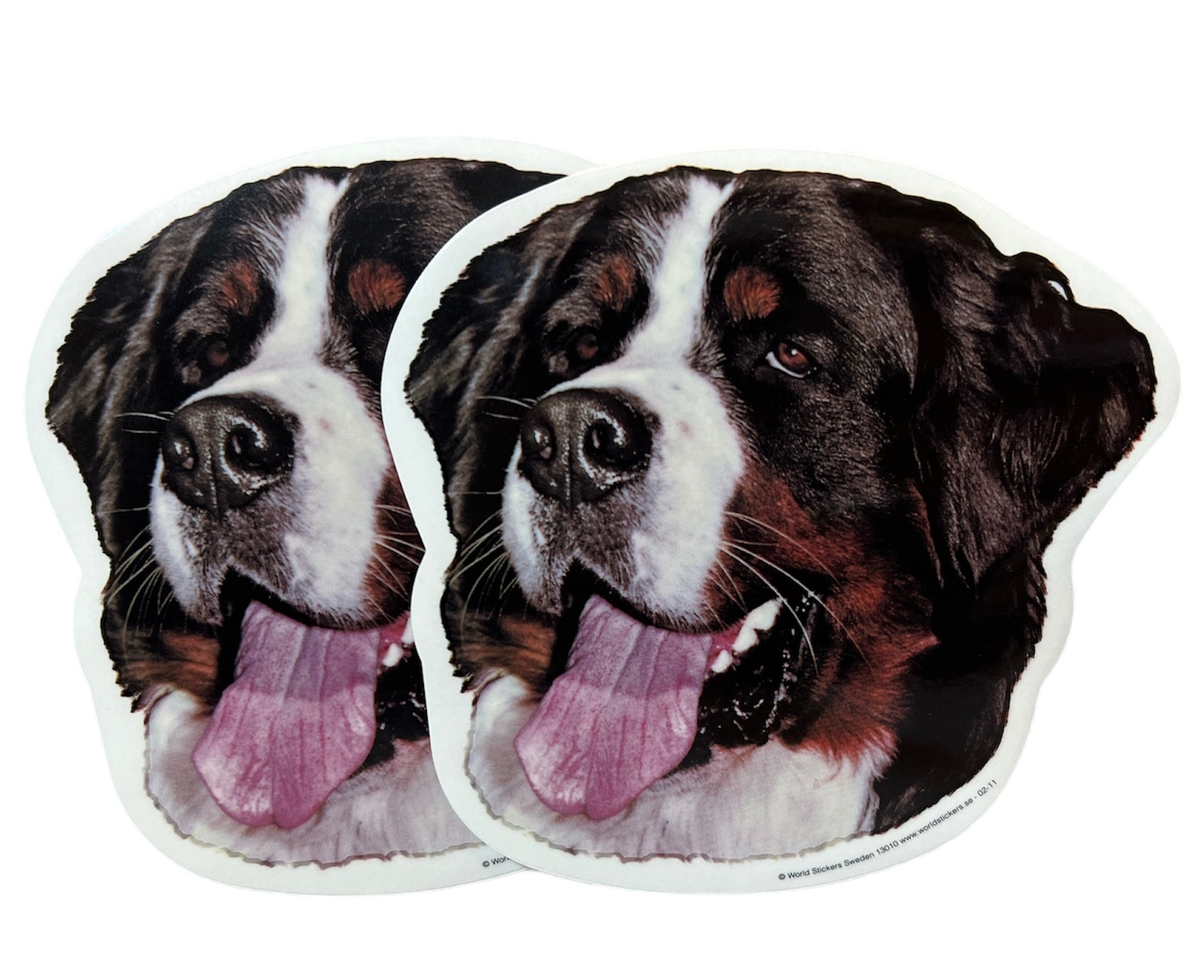 Dekal Hund medium 2-pack - Berner Sennen huvud