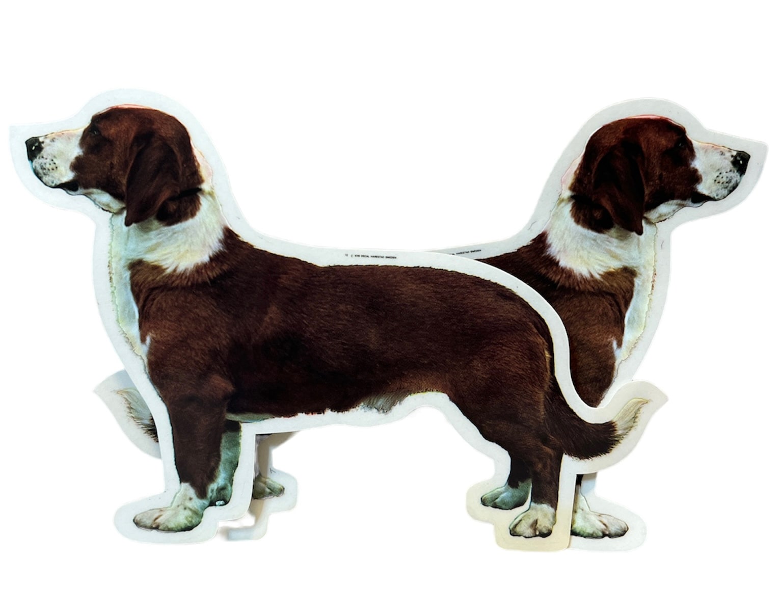 Dekal Hund medium 2-pack - Drever helkropp